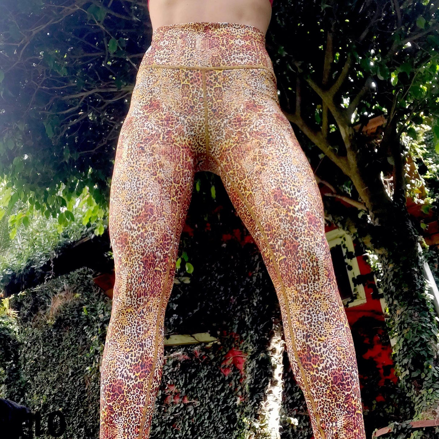 Leopardo K10 - Leggins