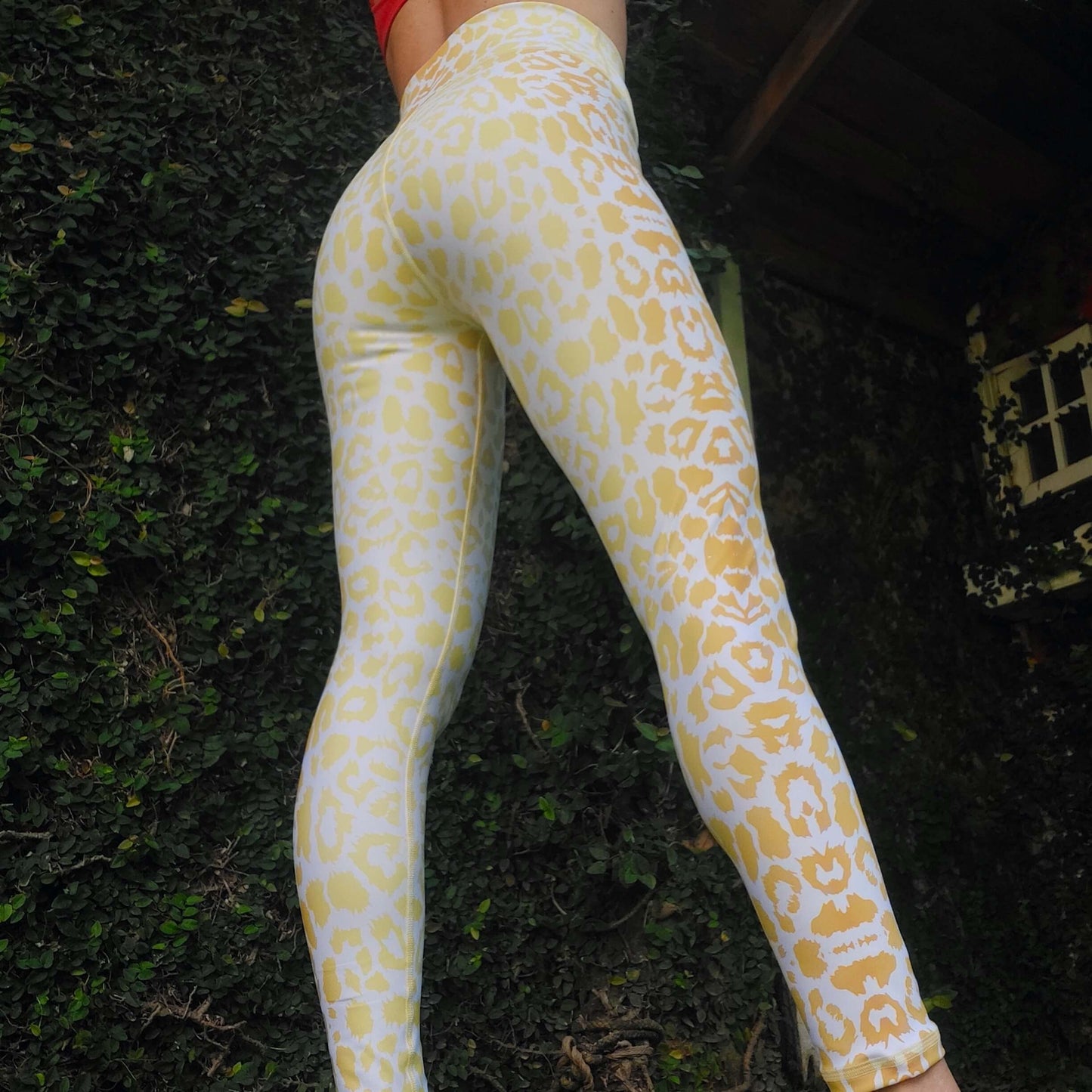 Lince K18 - Leggins